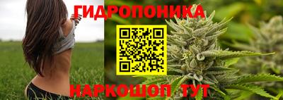 ALPHA PVP Комсомольск-на-Амуре