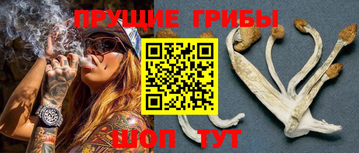 Волжский  где продают   Вход с VPN  Галлюциногенные грибы Psilocybine cubensis 